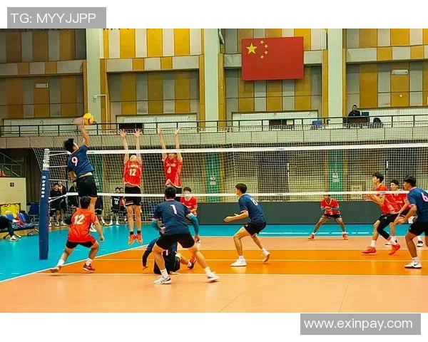 上海排球队荣登排球节奏排行榜第五名展现强劲实力与团队风采