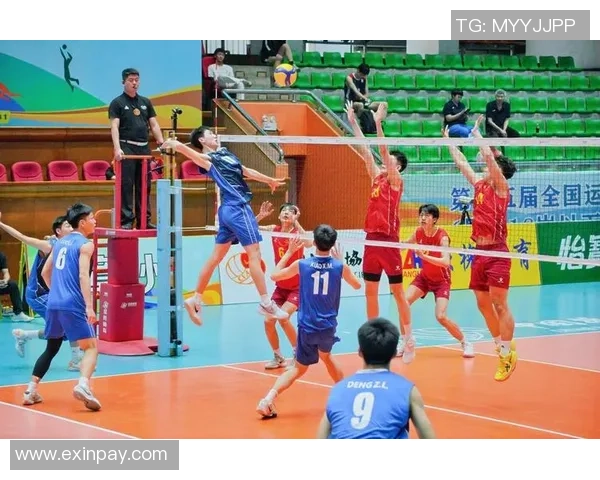 重庆排球队技术解析:从基本功到战术运用的全面探讨与提升