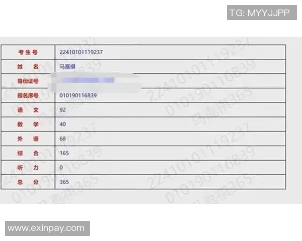 查字开头的足球明星盘点他们的成就与影响力分析